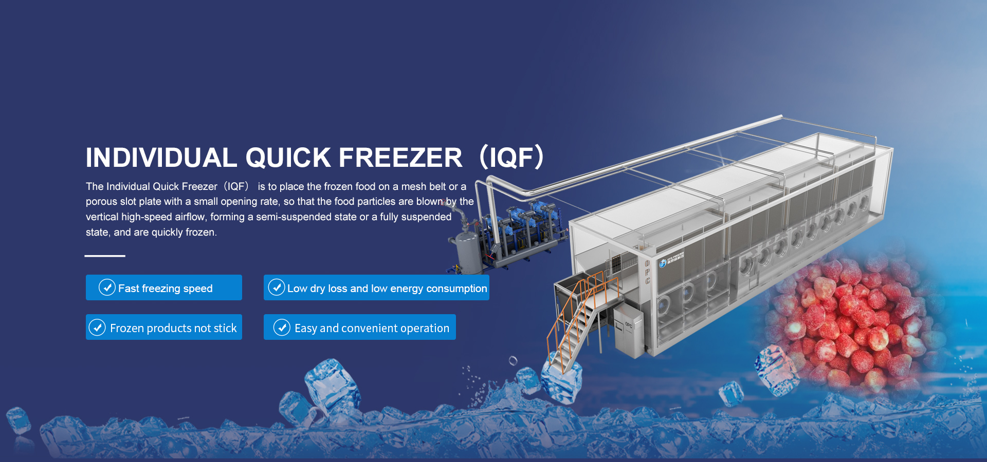 Individual Quick Freezer（IQF）