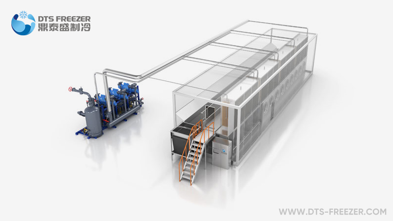 Individual Quick Freezer(IQF)