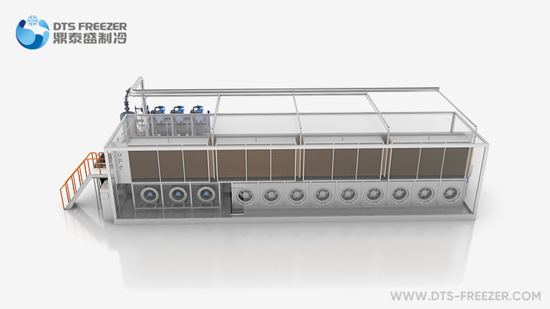 Individual Quick Freezer(IQF)