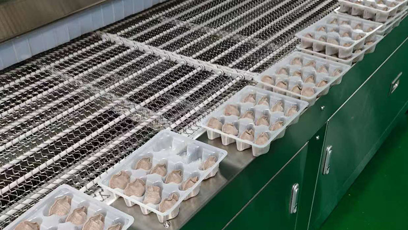 DTS freezer technology has been implemented in Hebei, helping dumpling and noodle companies upgrade their freshness.